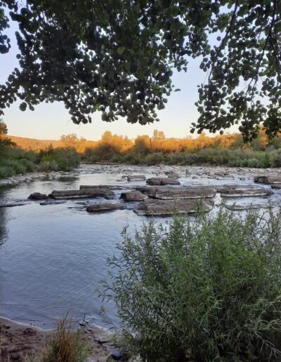 Rivière et rochers sous le feuillage, dans la lumière du soir.